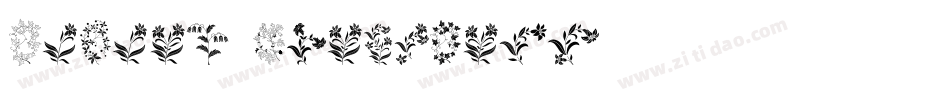 Bodoni Ornaments字体转换